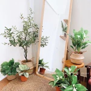 Gương toàn thân bo góc viền gỗ