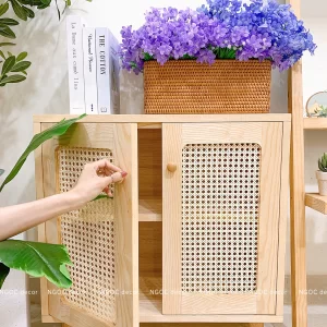 Tủ lưu trữ hai cánh phối mây