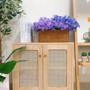 Tủ lưu trữ hai cánh phối mây