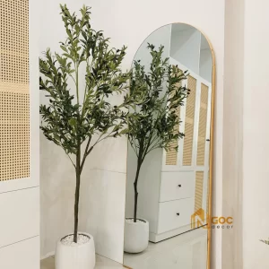 GƯƠNG CẦU VỒNG TRÀN VIỀN